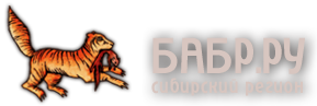 Иконка сайта БАБР.RU (новости)
