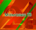 Логотип телеканала Мамадыш ТВ