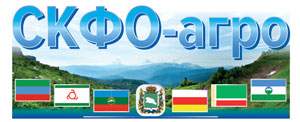 СКФО-агро | Ставрополь| Баннер