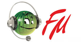 Логотип радиостанции Камышин FM
