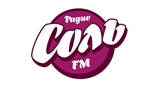Логотип радиостанции Соль FM