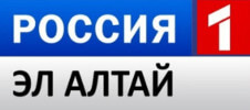 Логотип телеканала Россия 1